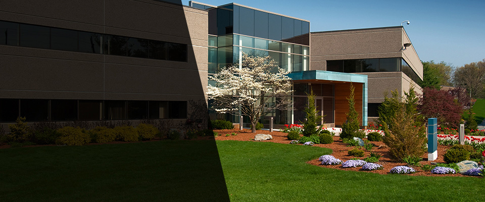 Belleville Landscapers