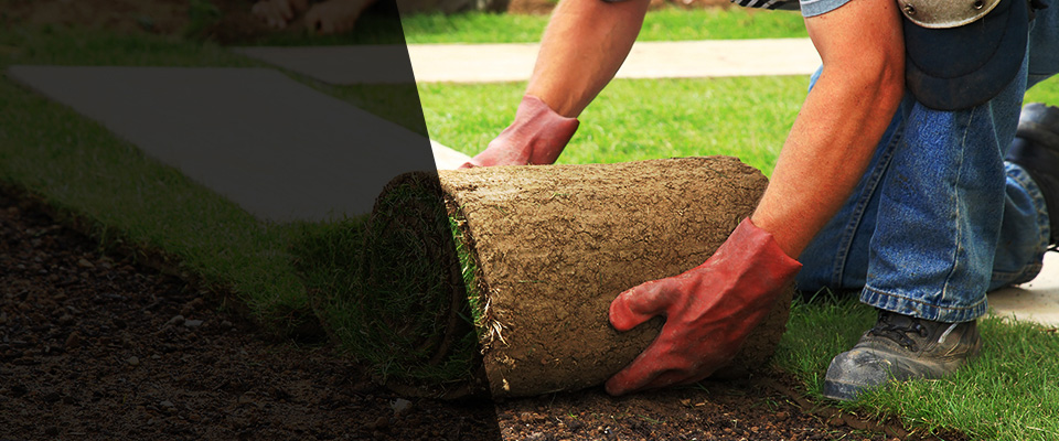 Belleville Landscapers